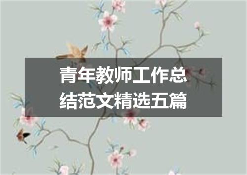 青年教师工作总结范文精选五篇