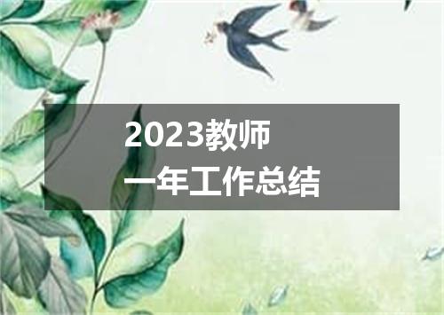 2023教师一年工作总结