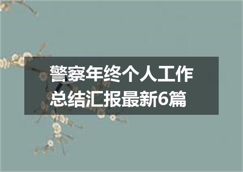 警察年终个人工作总结汇报最新6篇