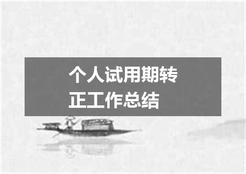 个人试用期转正工作总结