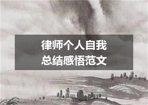 律师个人自我总结感悟范文