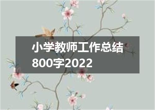 小学教师工作总结800字2022