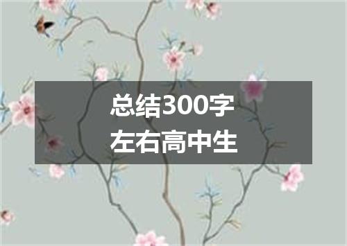 总结300字左右高中生