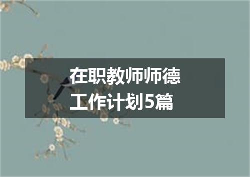 在职教师师德工作计划5篇