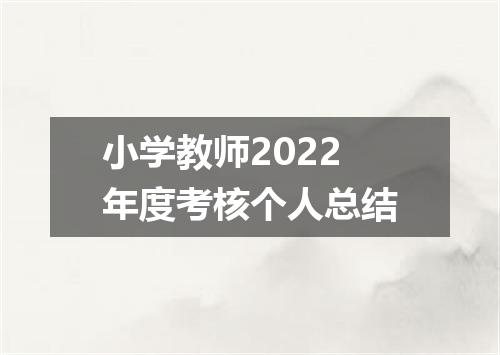 小学教师2022年度考核个人总结