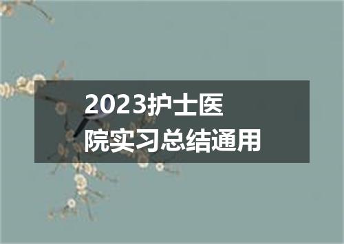 2023护士医院实习总结通用