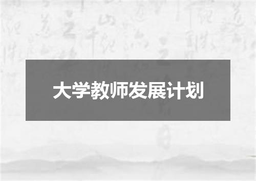 大学教师发展计划