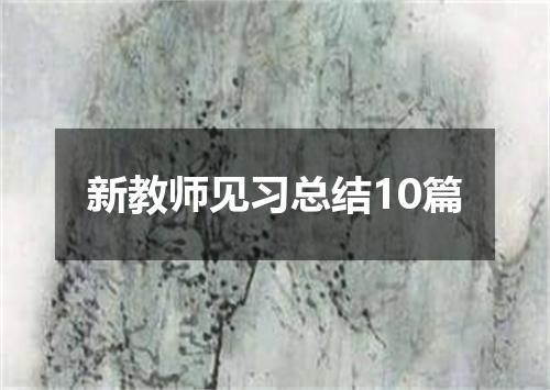 新教师见习总结10篇