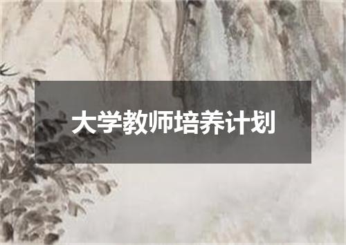 大学教师培养计划