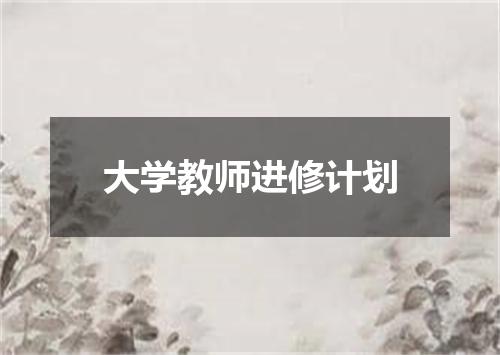 大学教师进修计划