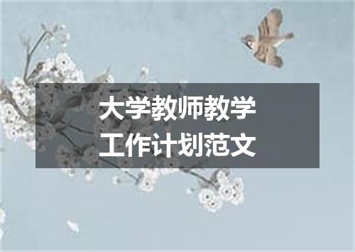 大学教师教学工作计划范文