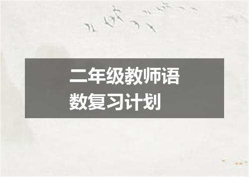 二年级教师语数复习计划