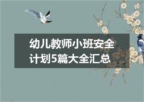 幼儿教师小班安全计划5篇大全汇总