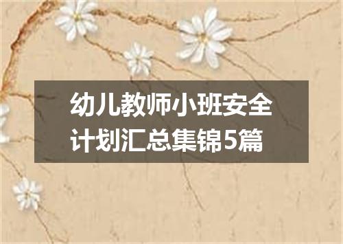 幼儿教师小班安全计划汇总集锦5篇