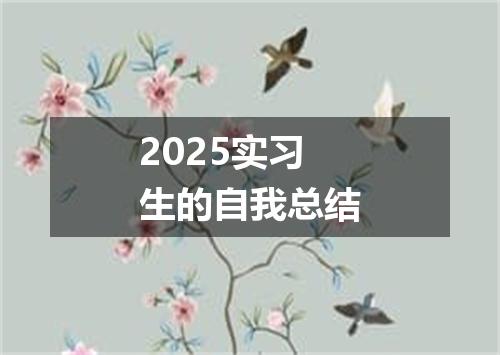 2025实习生的自我总结