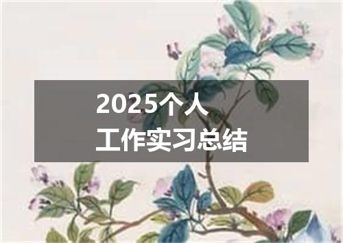 2025个人工作实习总结