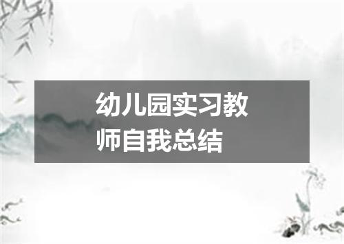 幼儿园实习教师自我总结