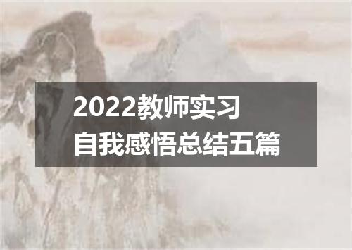 2022教师实习自我感悟总结五篇