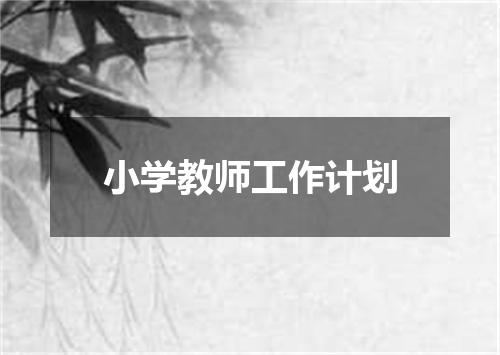小学教师工作计划