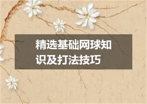 精选基础网球知识及打法技巧