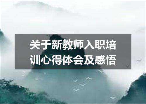 关于新教师入职培训心得体会及感悟