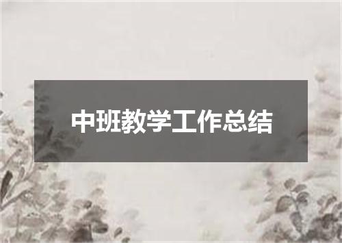 中班教学工作总结