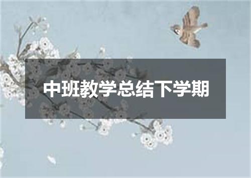 中班教学总结下学期