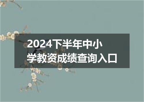 2024下半年中小学教资成绩查询入口