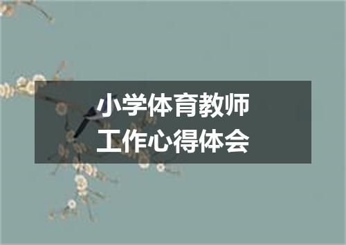 小学体育教师工作心得体会