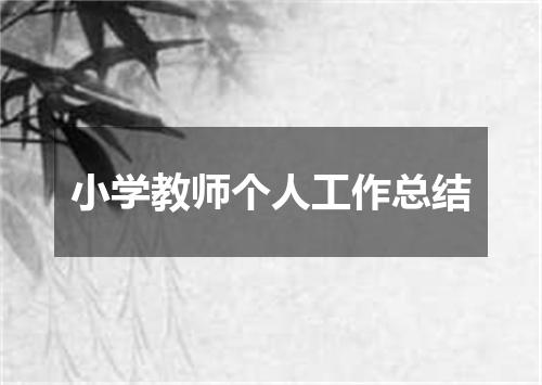 小学教师个人工作总结