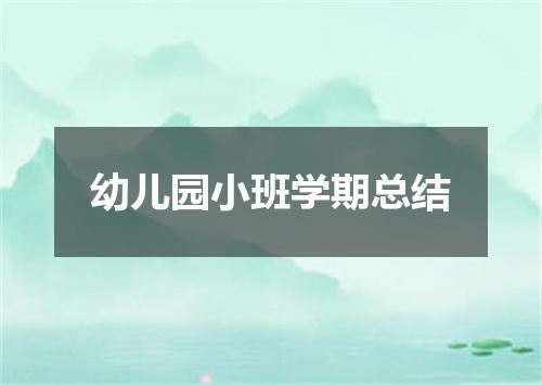 幼儿园小班学期总结