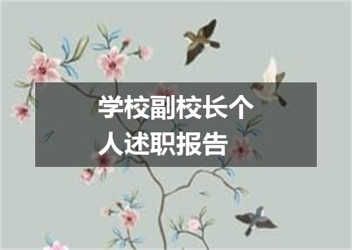 学校副校长个人述职报告