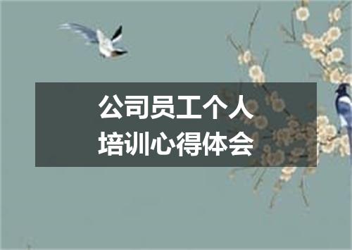 公司员工个人培训心得体会