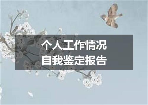 个人工作情况自我鉴定报告