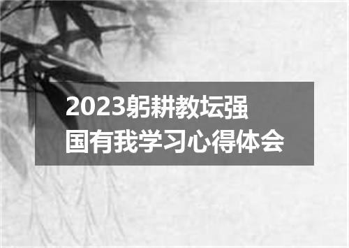 2023躬耕教坛强国有我学习心得体会
