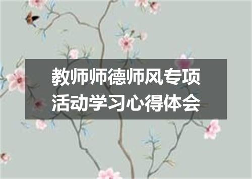 教师师德师风专项活动学习心得体会