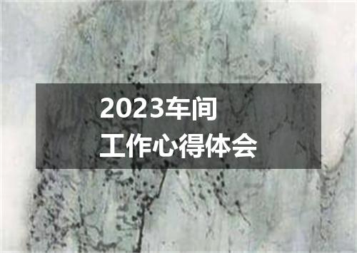 2023车间工作心得体会