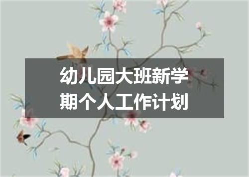幼儿园大班新学期个人工作计划