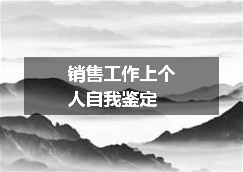 销售工作上个人自我鉴定