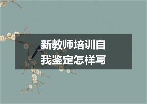 新教师培训自我鉴定怎样写