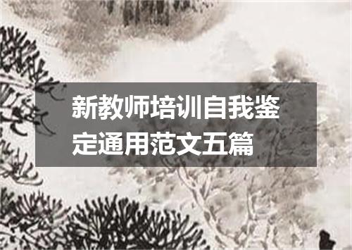 新教师培训自我鉴定通用范文五篇
