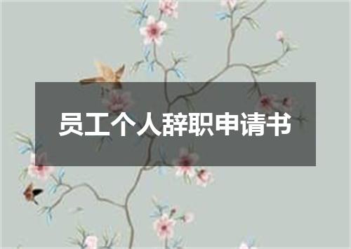 员工个人辞职申请书