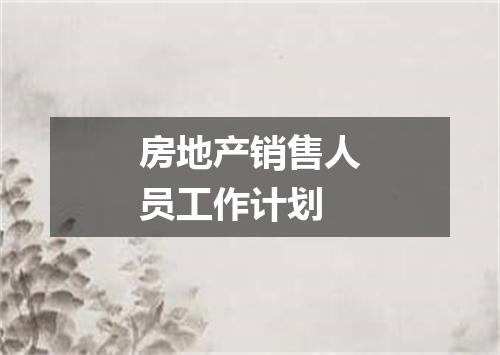 房地产销售人员工作计划