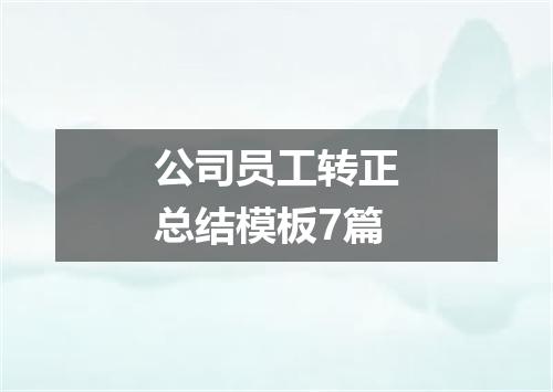 公司员工转正总结模板7篇