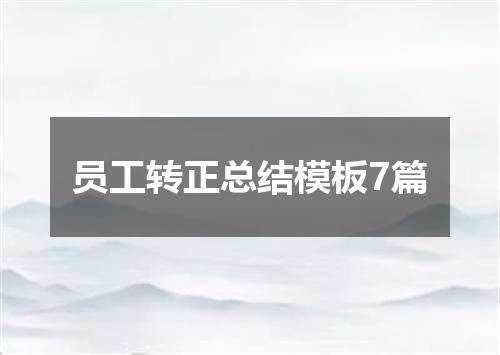 员工转正总结模板7篇