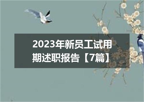 2023年新员工试用期述职报告【7篇】