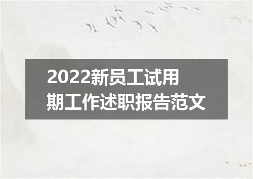 2022新员工试用期工作述职报告范文
