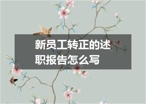 新员工转正的述职报告怎么写