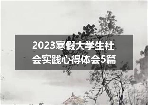 2023寒假大学生社会实践心得体会5篇