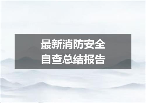 最新消防安全自查总结报告